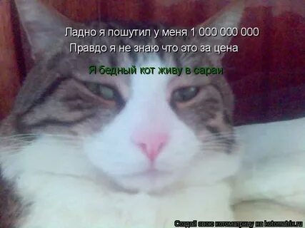 Ладно шучу есть
