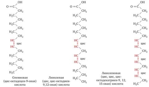 Линолевая кислота для чего
