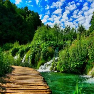 Вертикальный фон для рабочего стола