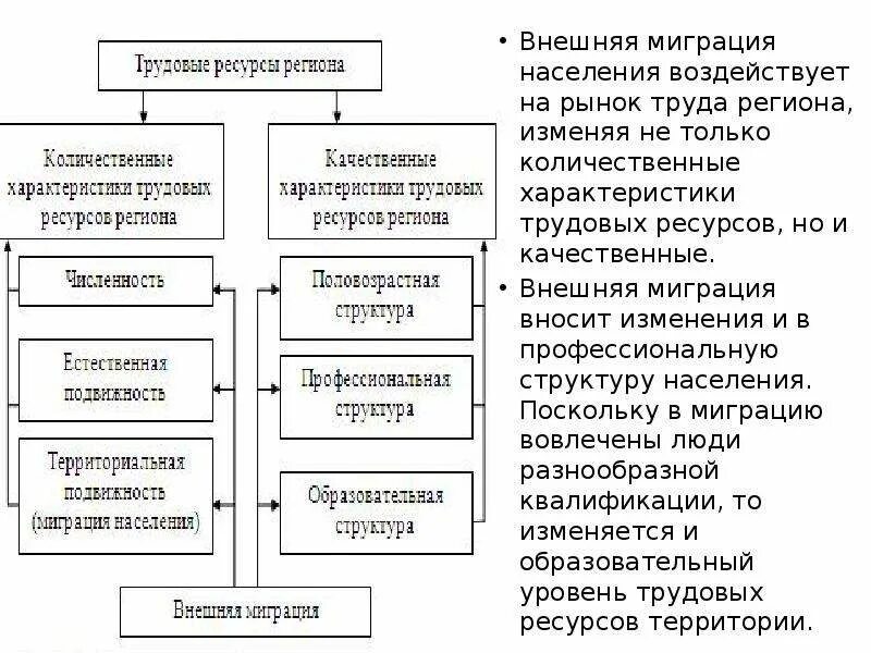 Внутренние и внешние миграции населения россии. Миграция внешняя и внутренняя схема. Характеристика размещения и миграции населения.. Внутренние и внешние миграции населения России таблица. Функции миграции трудовых ресурсов.