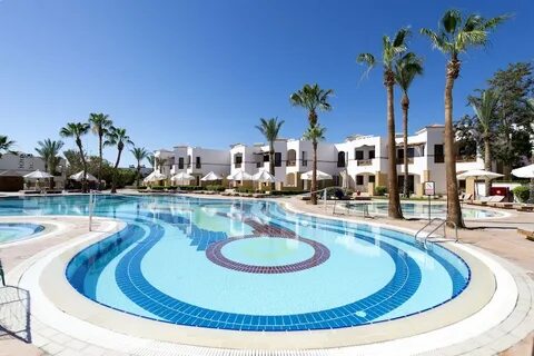 Amphoras ex shores