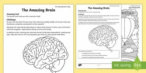 Перевод текста brain