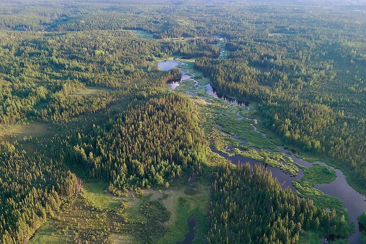 Река нельсон северная америка. Река Нельсон. Река Нельсон Канада. Северная Америка река Нельсон. Манитоба озеро вид со смотровой.