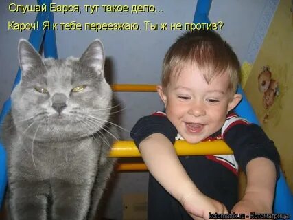 Опять лечу
