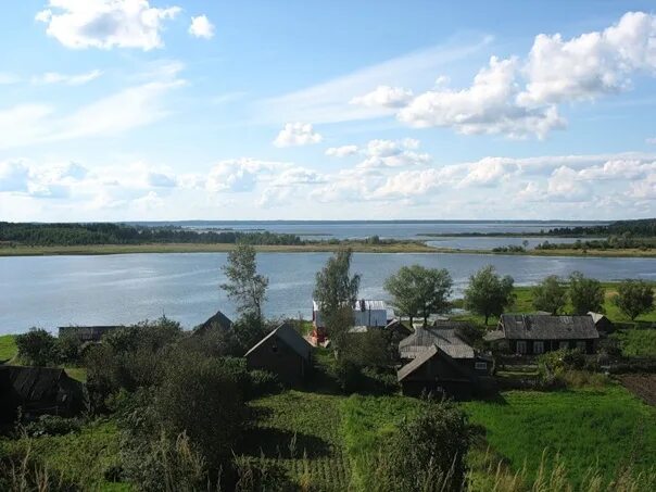 Гисметео пирос новгородская область. Деревня рютино озеро пирос. озеро пирос тверская. деревня видогощи тверская область.