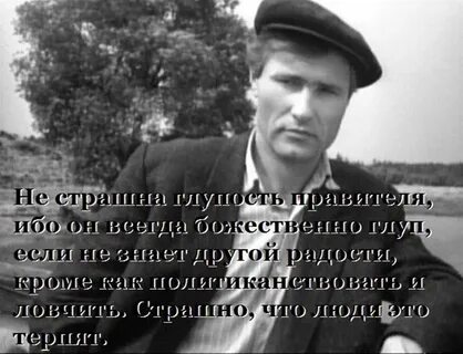 Глупость года