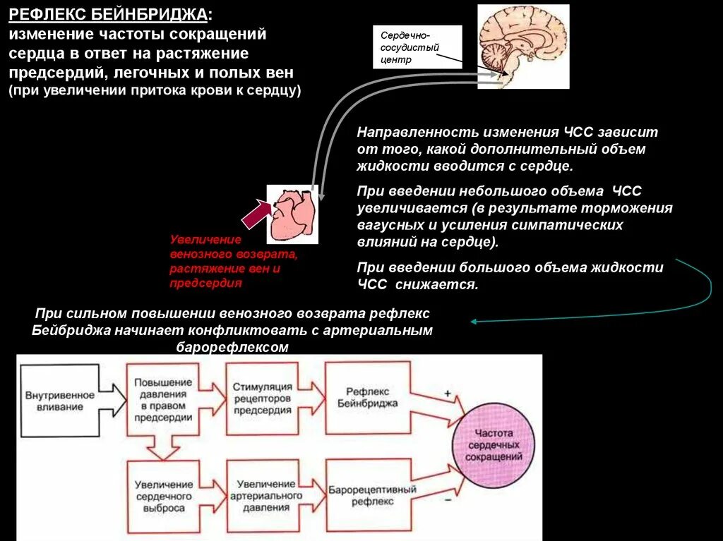 Как изменяется сила сердечных сокращений. Схема рефлекса Бейнбриджа физиология. Рефлекторная дуга Бейнбриджа. Рефлекс Бейнбриджа схема. 1. Рефлекс Бейнбриджа.