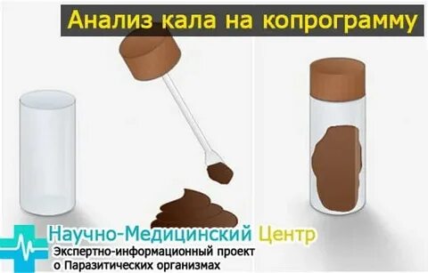 Кал вечерний можно