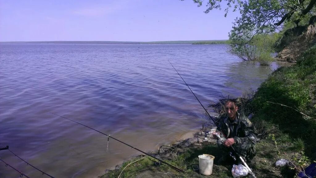 Сурское море Пенза. Рыбалка реке Сура в Пензенской области. Сурское водохранилище в Пензе рыбалка. Озеро Лячерка в Пензенской области. На крючок рыбалка в пензе