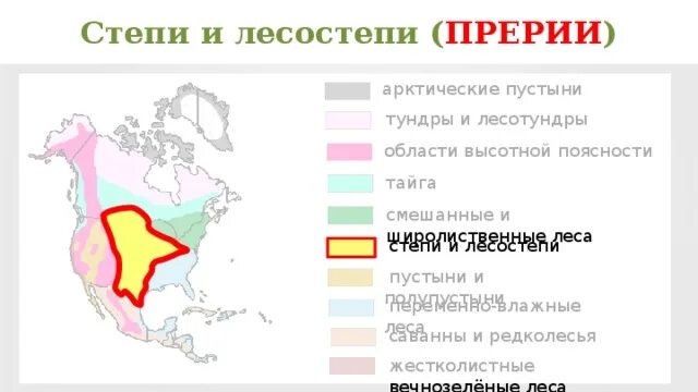 Центральная америка природные зоны. Природные зоны степи и лесостепи Северной Америки. Лесостепи Северной Америки на карте. Степи и лесостепи Северной Америки на карте. Степи Северной Америки карта.