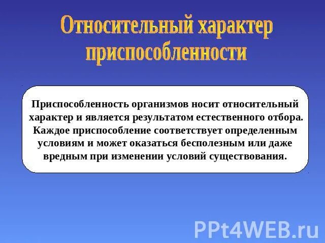 Относительный характер приспособленно. Относительный характер приспособленности. Относительность приспособлений. Относительность приспособленности. Любая приспособленность относительна