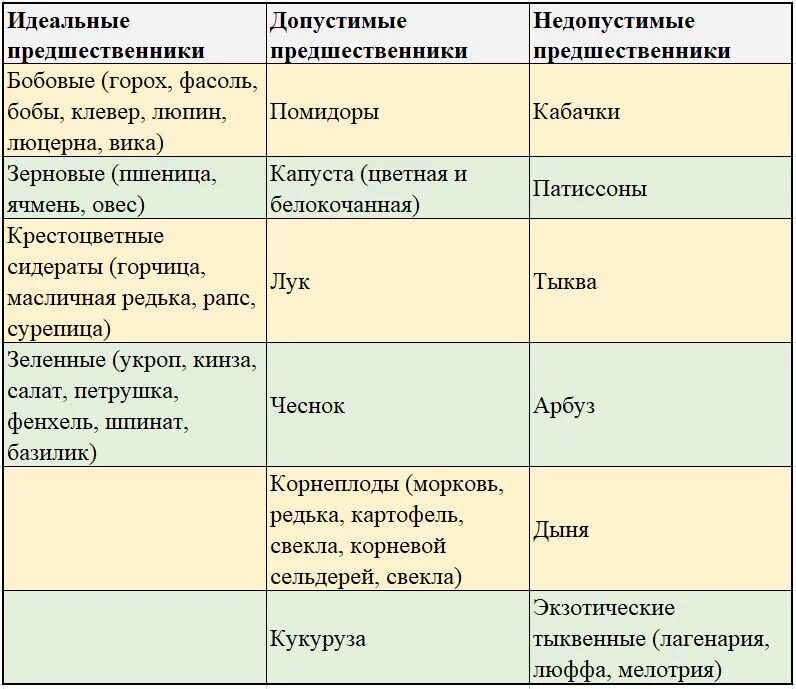 Лук после капусты можно сажать. Предшественники капусты белокочанной. предшественники капусты белокочанной в севообороте. после капусычто посадить. что можно сажать после капусты на следующий год.