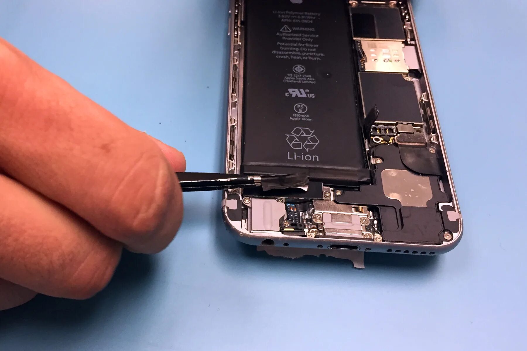 Iphone 6s Battery. Батарея айфон 6. Iphone 6s Plus Battery. Аккумулятор iphone 6s внутрянка.