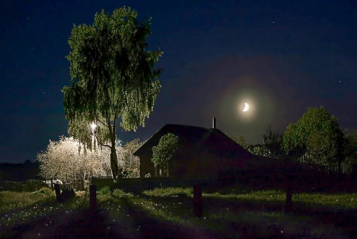 Вдали светит луна. Ночь в деревне. Летняя ночь в деревне. Лунная ночь в деревне. Дерево ночью.
