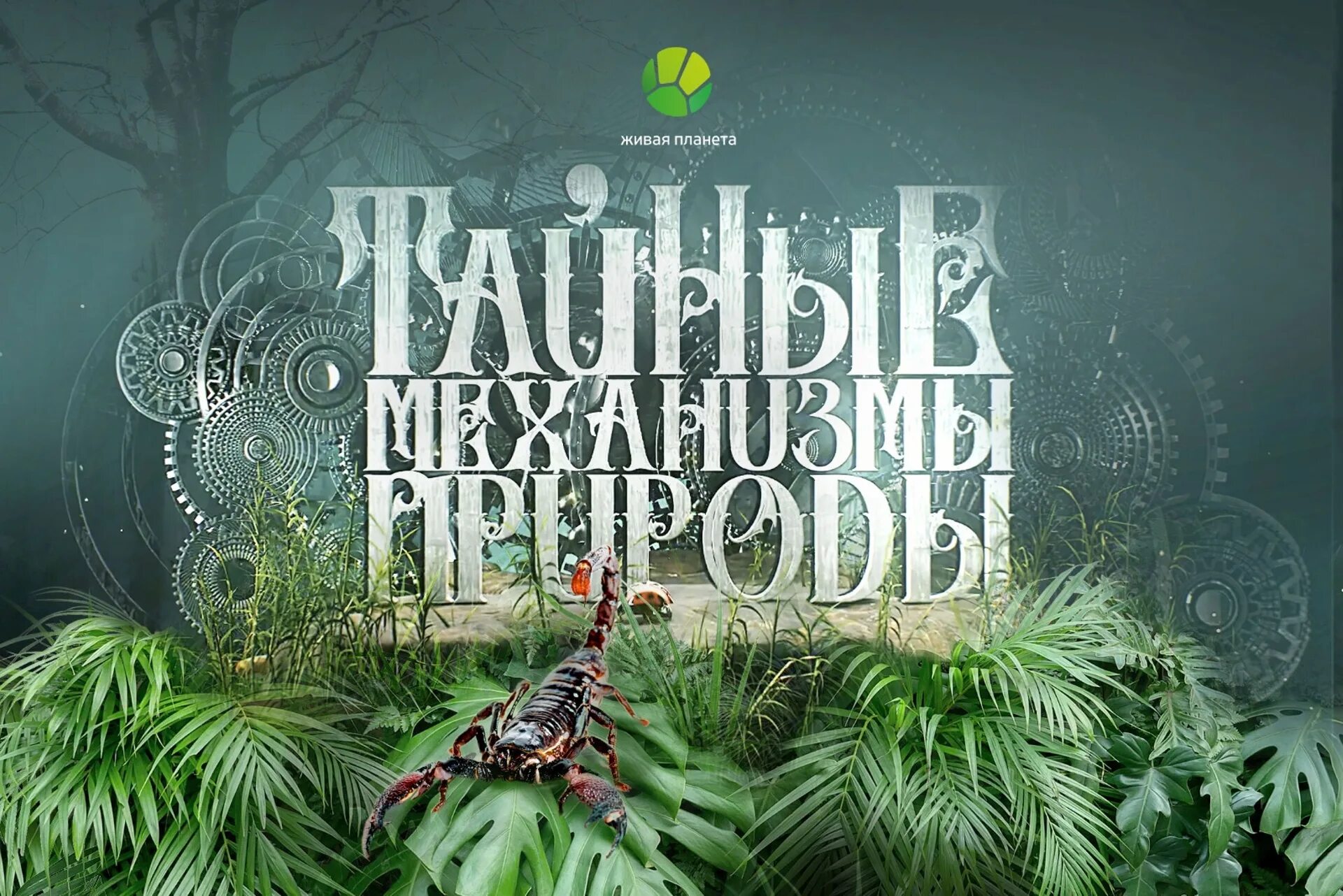 Массовое вымирание животных. Животные планеты земля. Пермь-триасовое массовое вымирание. Живая планета исчез. Пермо-триасовое вымирание.