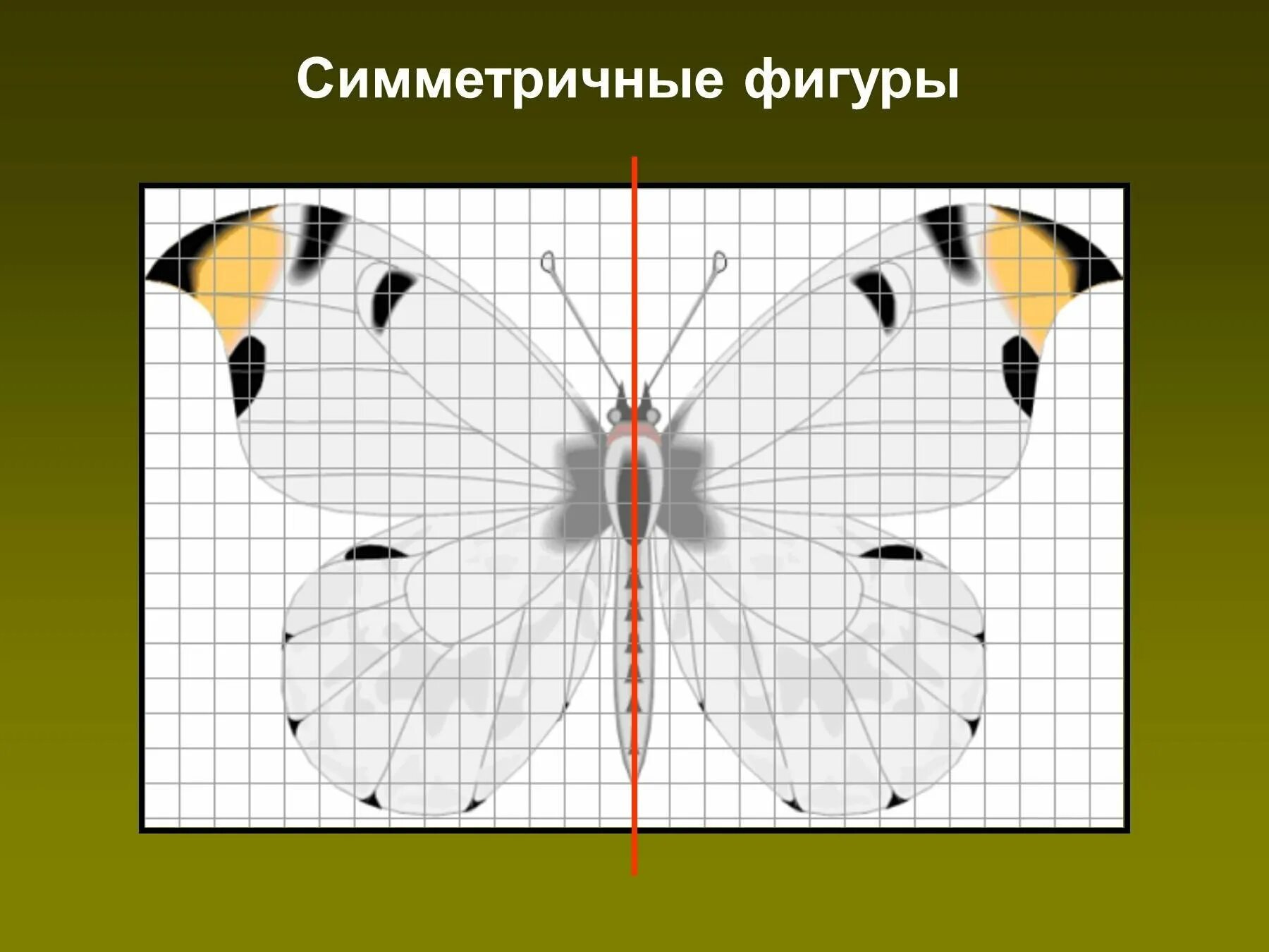 Как нарисовать симметричную фигуру