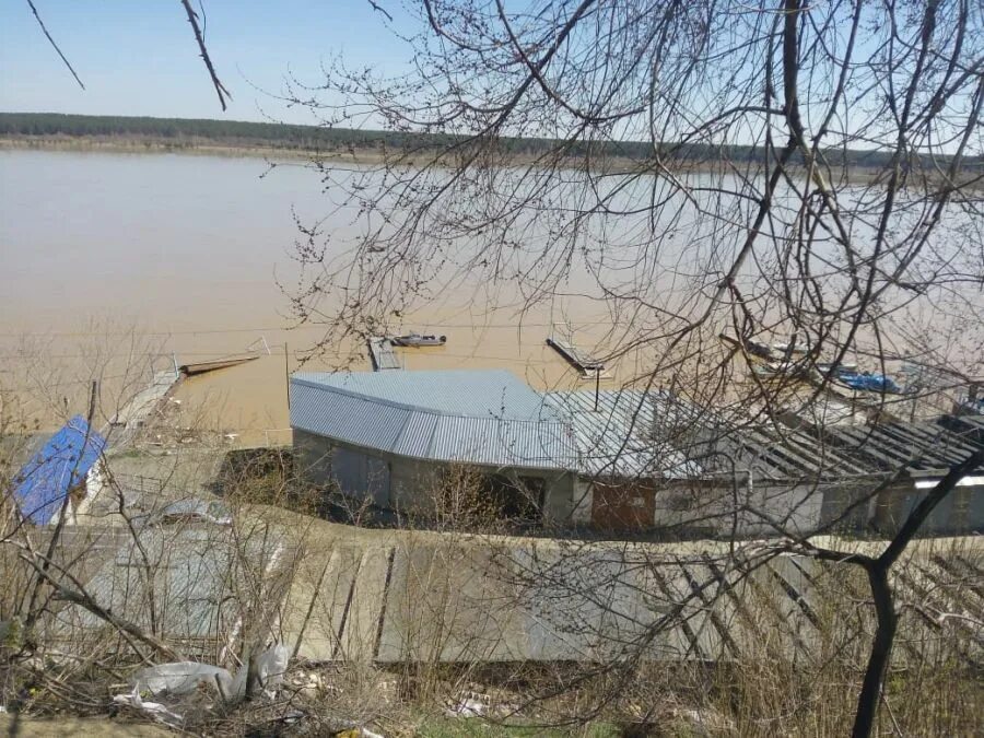 Вода в бии на сегодня. Уровень воды в бии. Уровень воды в р Бия г.Бийск. Уровень воды река Бия Бийск. Уровень воды в бии на сегодня в Бийске.