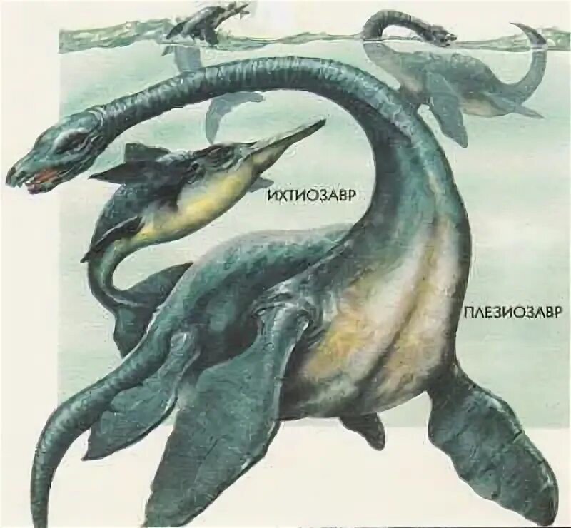 Ихтиозавр первичноводный. Ихтиозавр мезозой. Морские динозавры Ихтиозавр. Ихтиозавр и Плезиозавр. Ихтиозавры триаса.