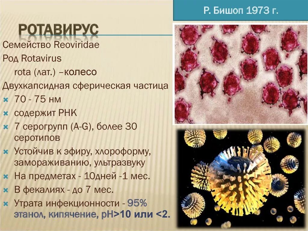 Возбудитель ротавирусной инфекции. Вирус инфекция ротавирус. Ротавирус характеристика возбудителя. Ротавирус и норовирус. Как отличить ротавирусную от
