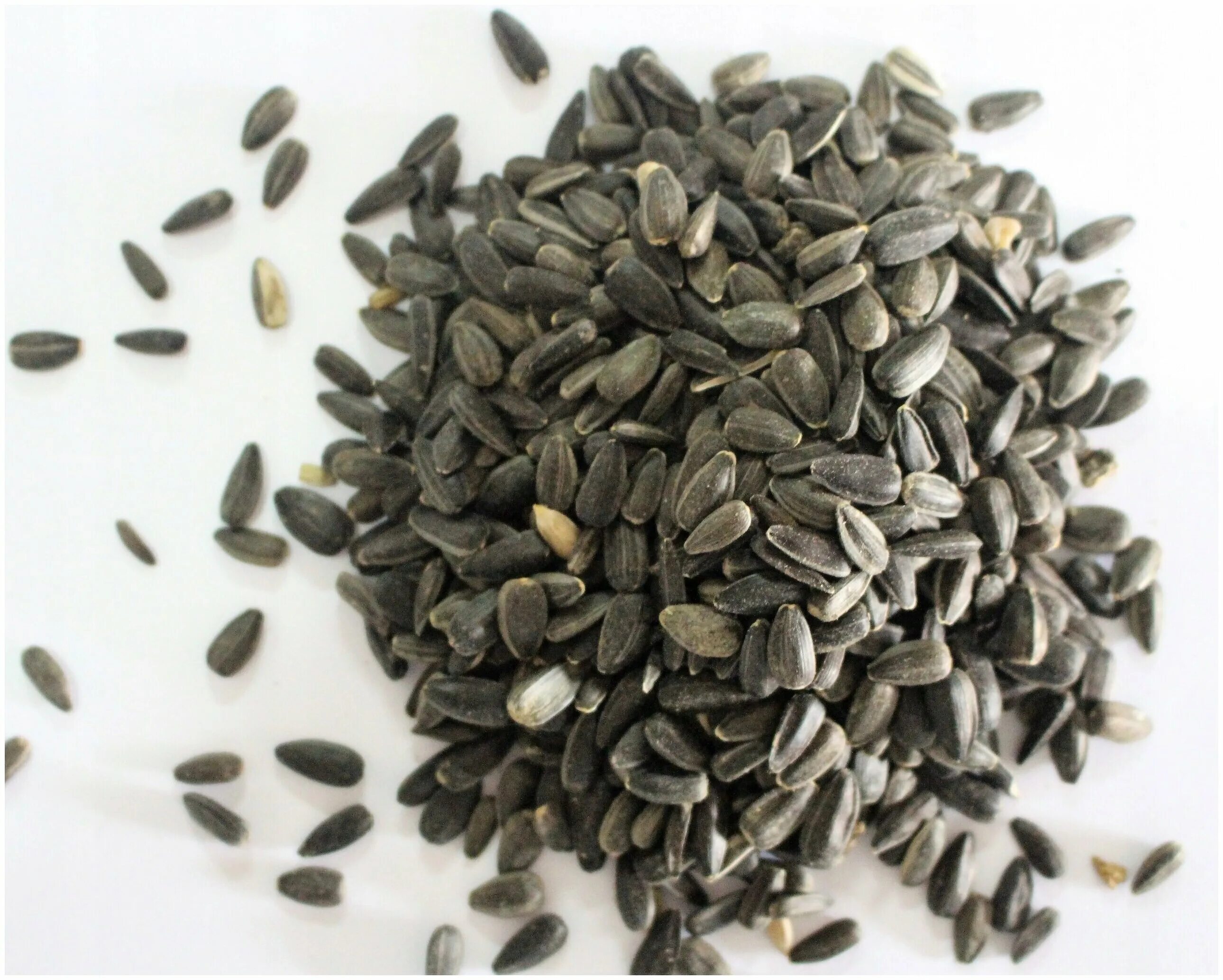 Семена подсолнечника в мешках. Семена подсолнечника для птиц. Семечки подсолнечника для птиц. Семена подсолнуха в мешках. Семена подсолнечника 30 кг.