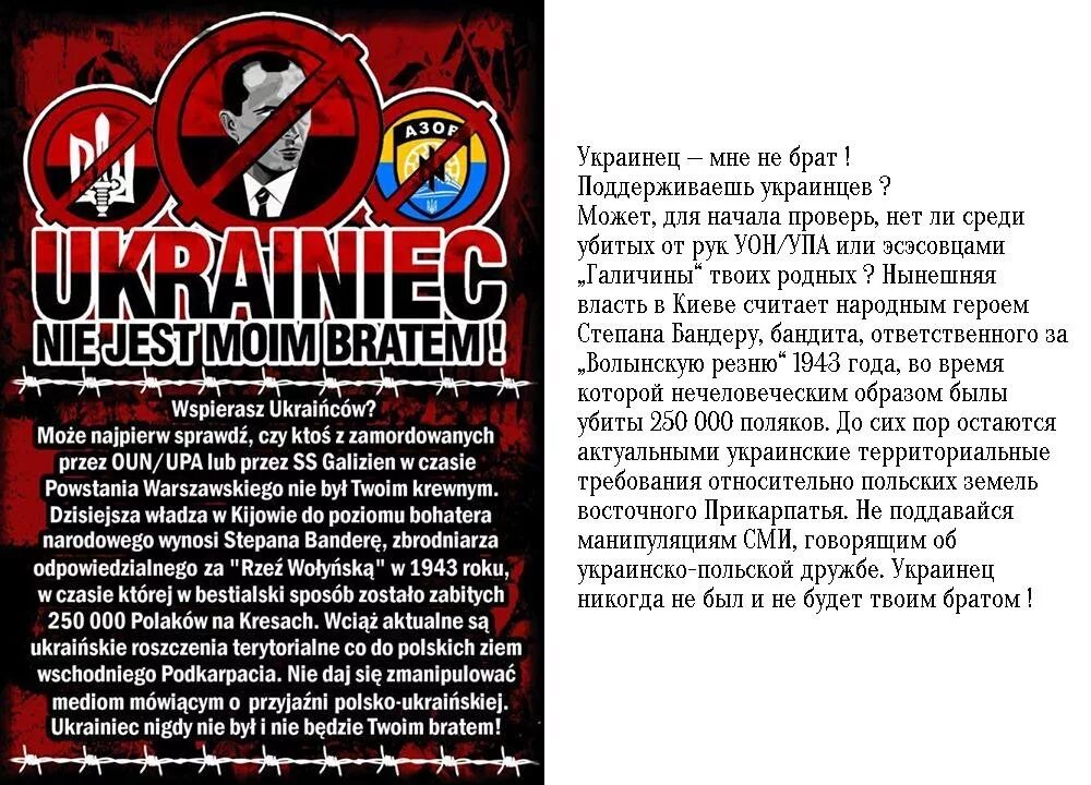 Украина против поляков. Поляки и украинцы. Поляки и украинцы братья. Поляки не любят украинцев. Поляки и хохлы.