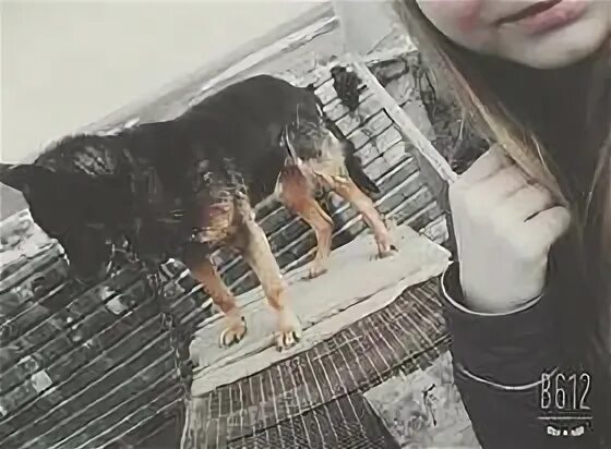 Выход спасай