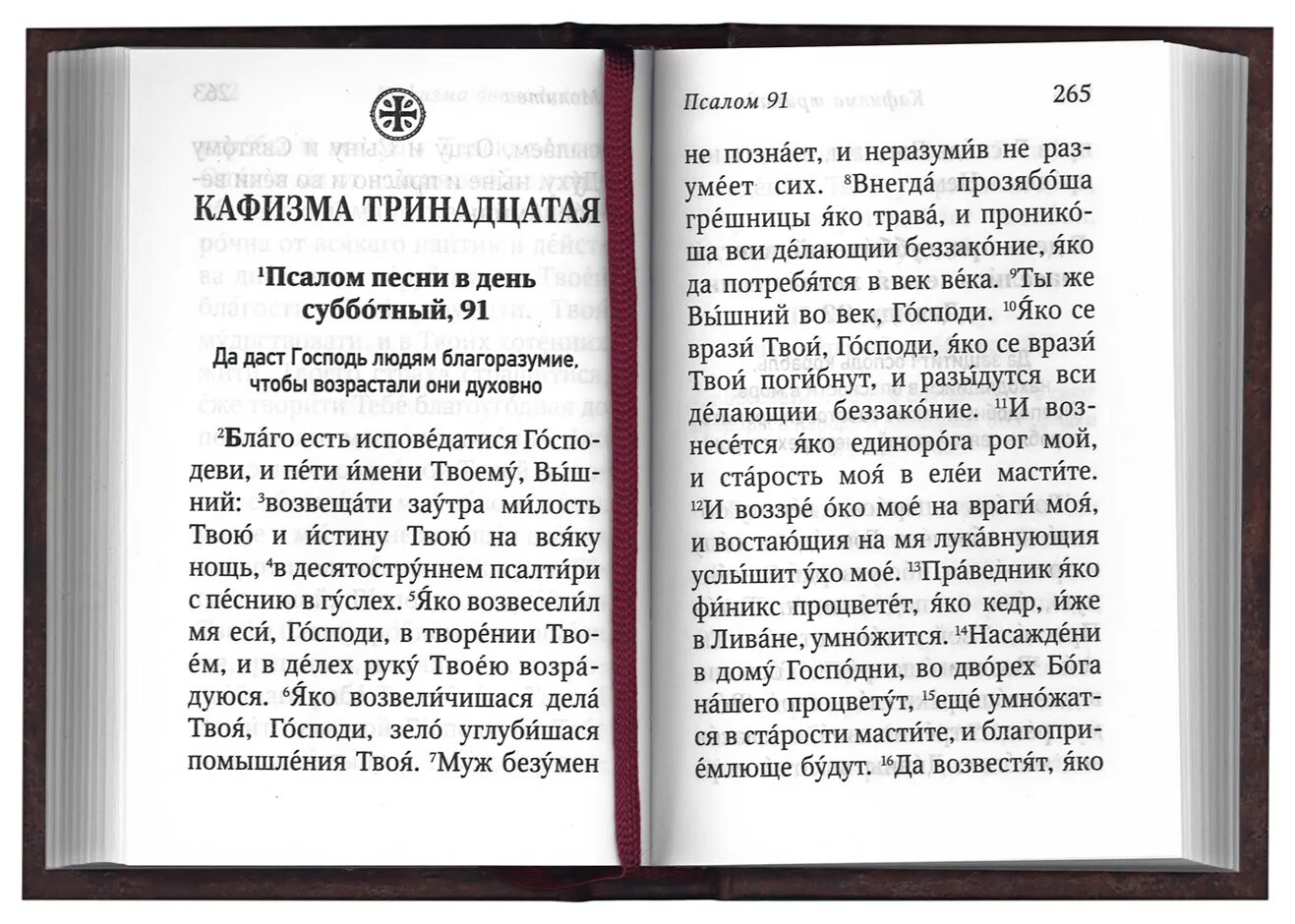 Псалмы преподобного Паисия Святогорца. Псалтирь с поучениями преподобного Паисия Святогорца. О Псалтири и псалмах. Псалтирь преподобного Паисия Святогорца с толкованием.