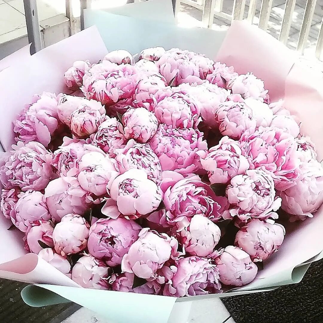Пионы купить рязань. Пион под названием большая роскошь. Букетище пионов. Роскошный букет пионов. Букет пионов 2000x700.