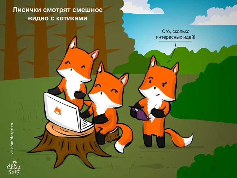 Лис все что хочешь. Смешные лисы. шутки про лисят. лиса шутки. лиса прикол.