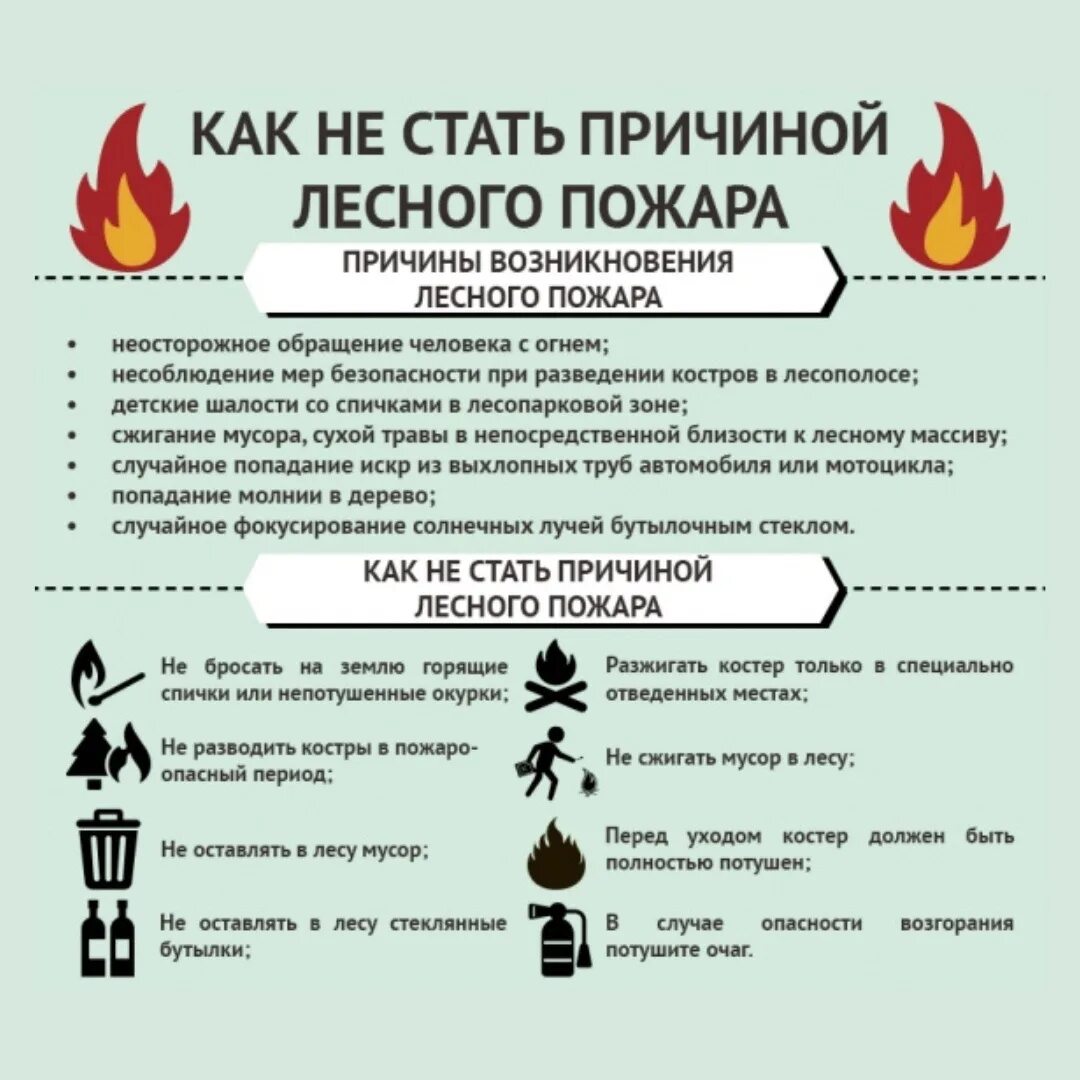 Меры по предотвращению природных пожаров. Профилактика лесных пожаров. профилактика пожаров в лесу. памятка пожар в лесу. профилактика пожаров в лесах.