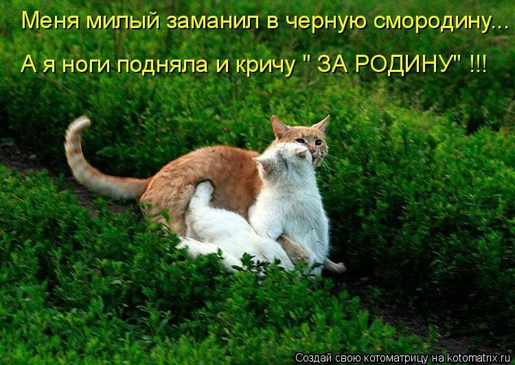 запахло весной метелям