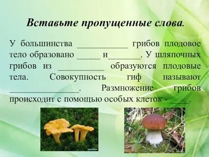 Вставить пропущенные слова грибы