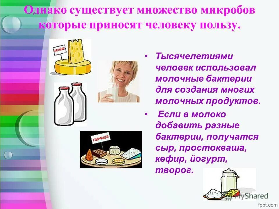 Роль бактерий в организме человека 5 класс. Какую пользу приносят бактерии. Какую пользу приносят микроорганизмы. Польза и вред бактерий. Доклад на тему роль бактерий в жизни человека.