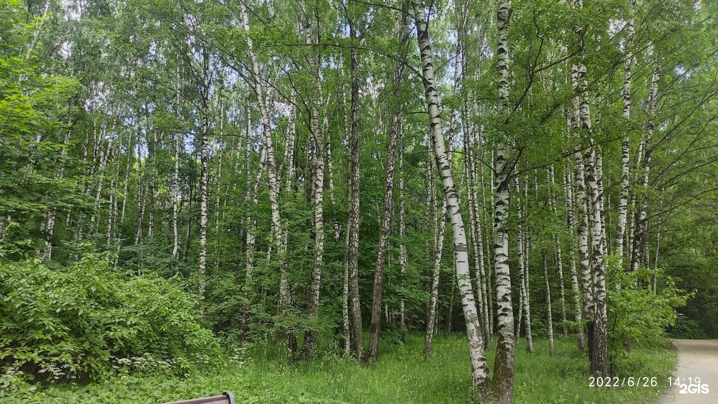 Дендропарк в бирюлево. Москва липецкая ул вл5а. Андропова 19. , вл5а, москва. Ул липецкая 8 москва.