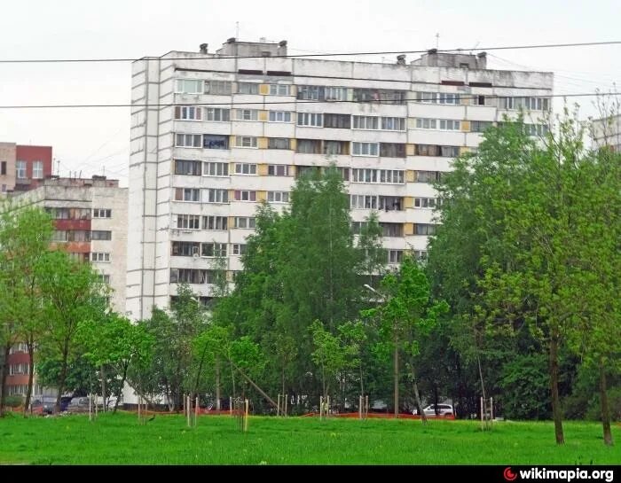 Ул волонтер. Ул добровольцев Санкт-Петербург. Питер ул добровольцев. Добровольцев 42. Добровольцев дом 2.