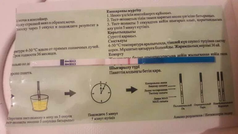 Испытания 1 недели. Как узнать беременность. Опредеоениебеременности. Как можно определить беременность. Проявление теста на беременность на ранних сроках.