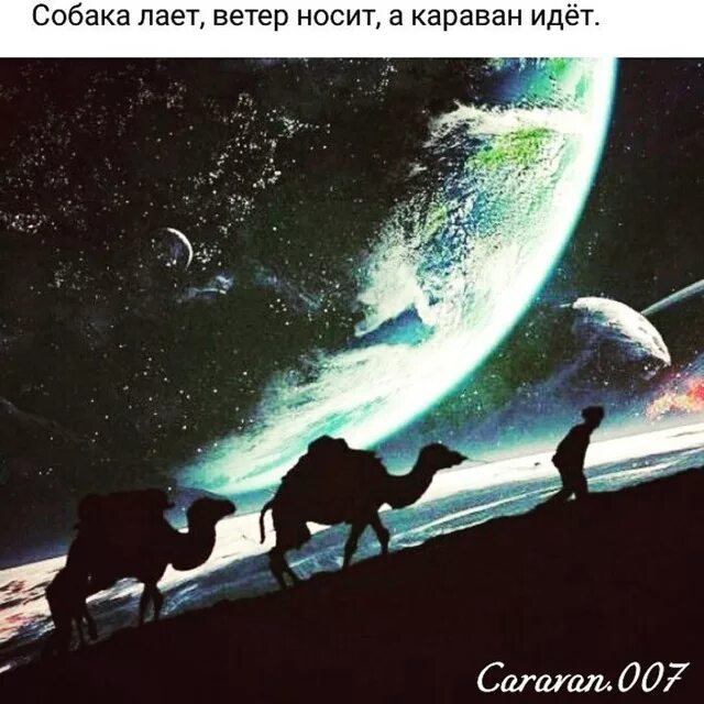 Собаки лают Караван идет. Собака лакт Караван идет. Собака лает каравантидет. Сабака лает Караван идёт. Караван ночью на глазах