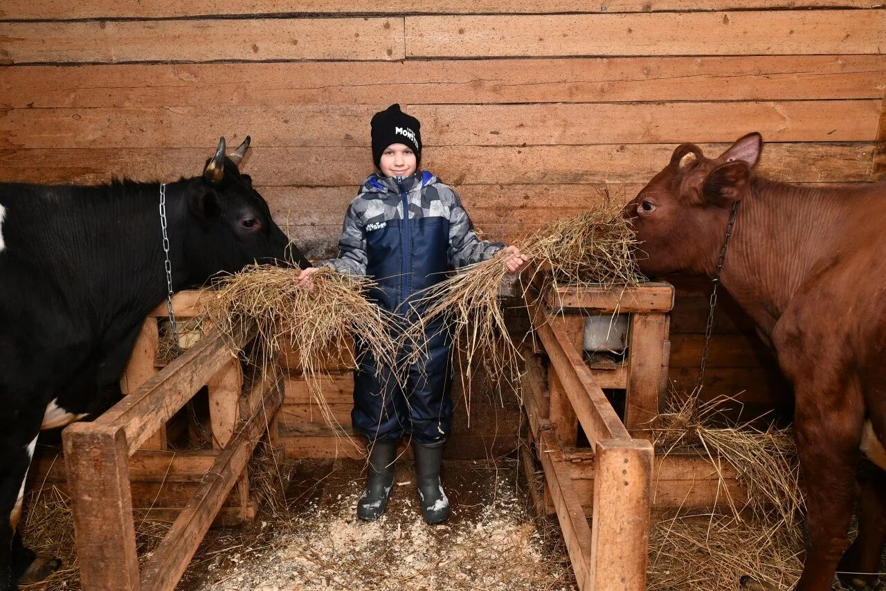 Стал сильный фермер. Фермер Карелии. Чтобы стать фермером. Фермеры Якутии. Белорусский фермер в национальном костюме в хлеву.