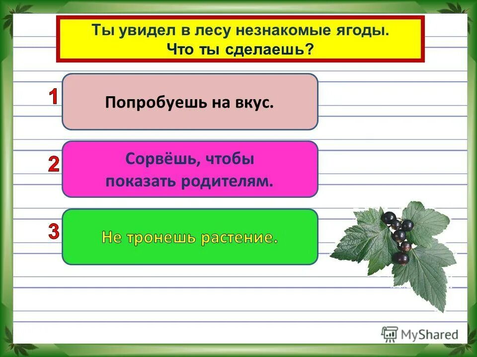 план выступления по проекту лесные опасности. лесные опасности 2 класс. окружающий мир 2 класс рабочая тетрадь 2 часть лесные опасности. проект лесные опасности окружающий мир. лесные опасности 2 класс окружающий мир.