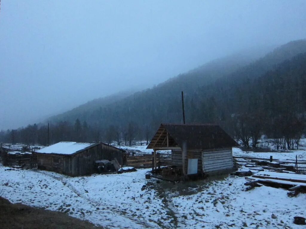 Чарыш коргон. Погода тюдрала. Село тюдрала. Тюдрала. Озеро букалу усть канский.