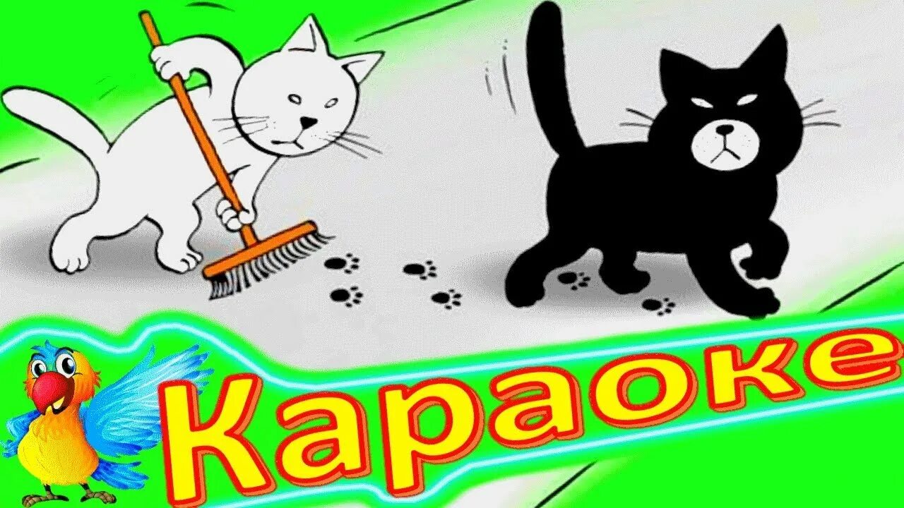 Включи видео песни кота. Котэ песенки. Песенка про котика детская. Караоке чёрный кот для детей.