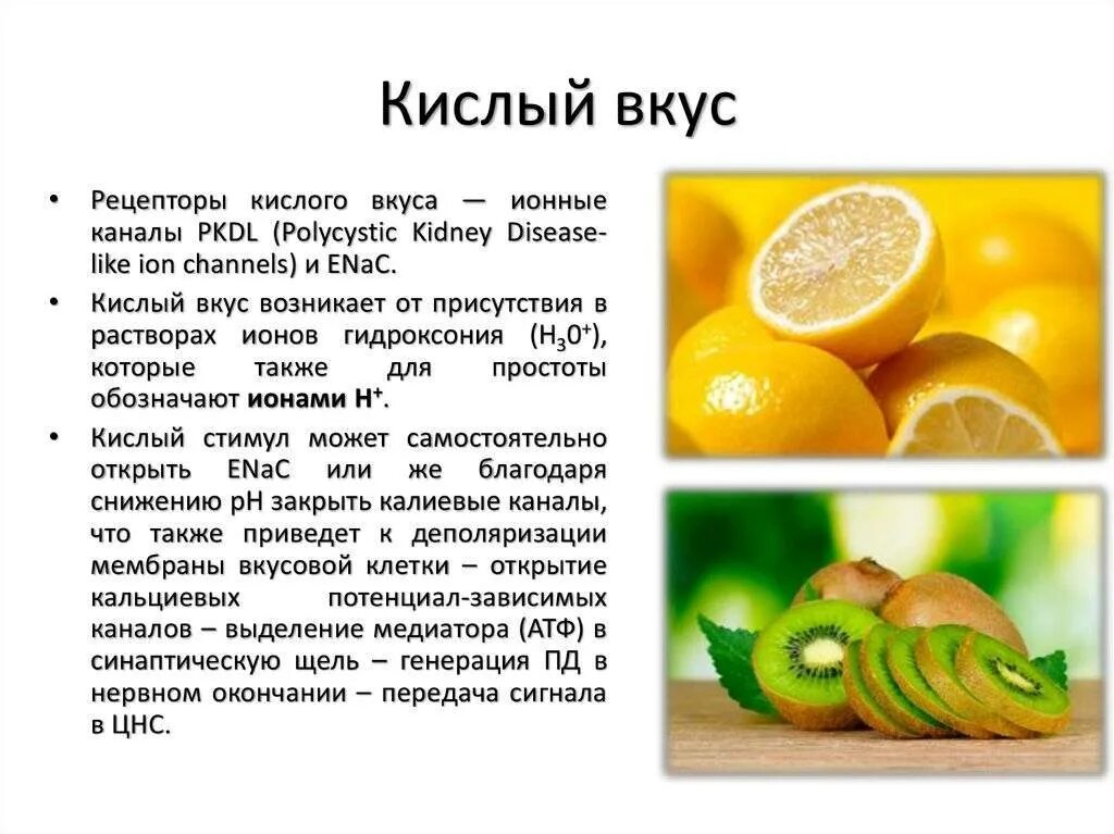 Кислота во рту постоянно. Кислый вкус. Вкус кислый. Вкус. Продукты имеющие кислый вкус. Кислые продукты на вкус.