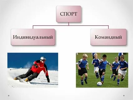 К индивидуальным видам спорта относятся