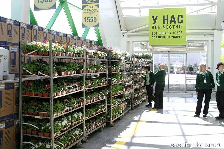 Бруцеллез коров крс кровь. Клумба сельское подворье. Мое любимое подворье. Жара река. Сельскохозяйственное подворье.