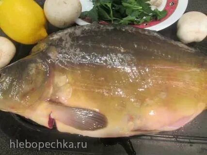 Карп как готовить