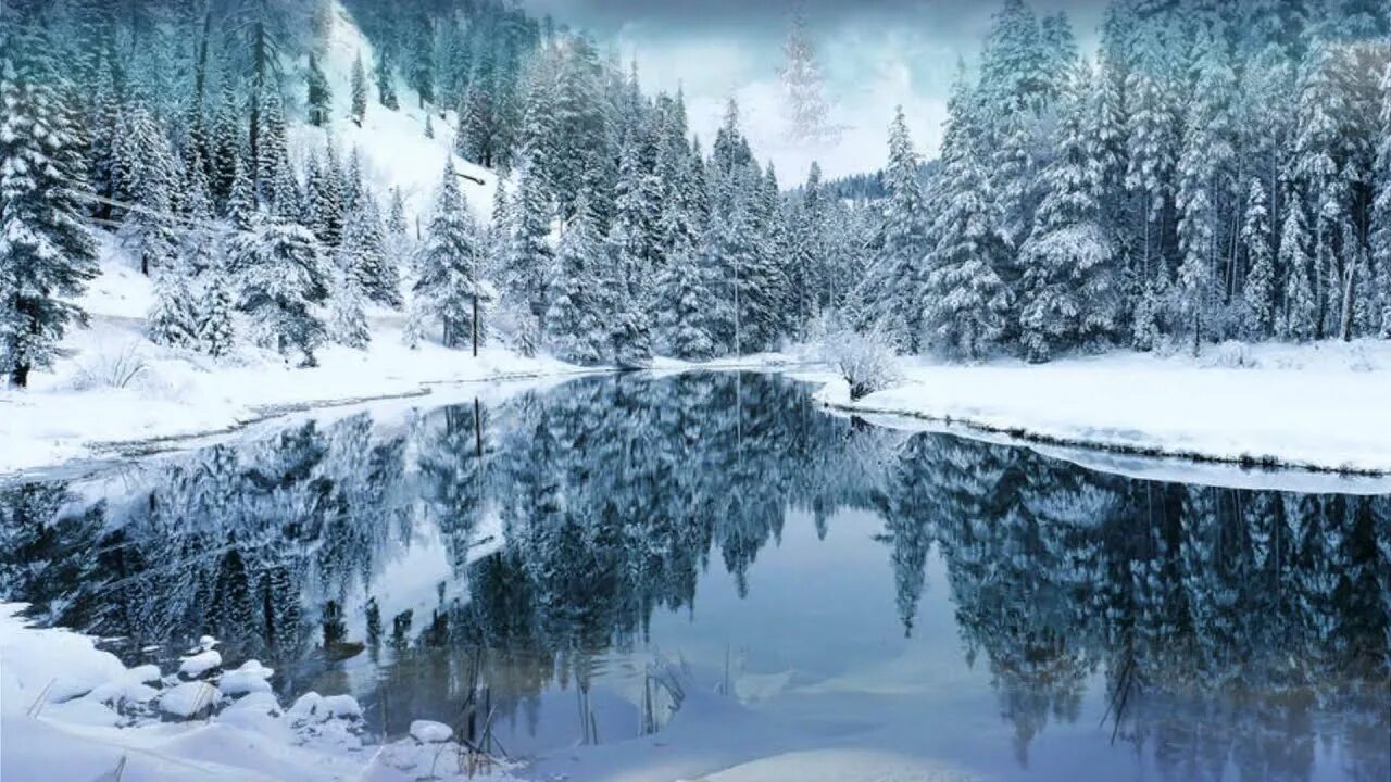 Уже выпал снег. Природа ночью. Обои на телефон зима. Winter is wonderful. My book a winter worlds английскому языку для детей.