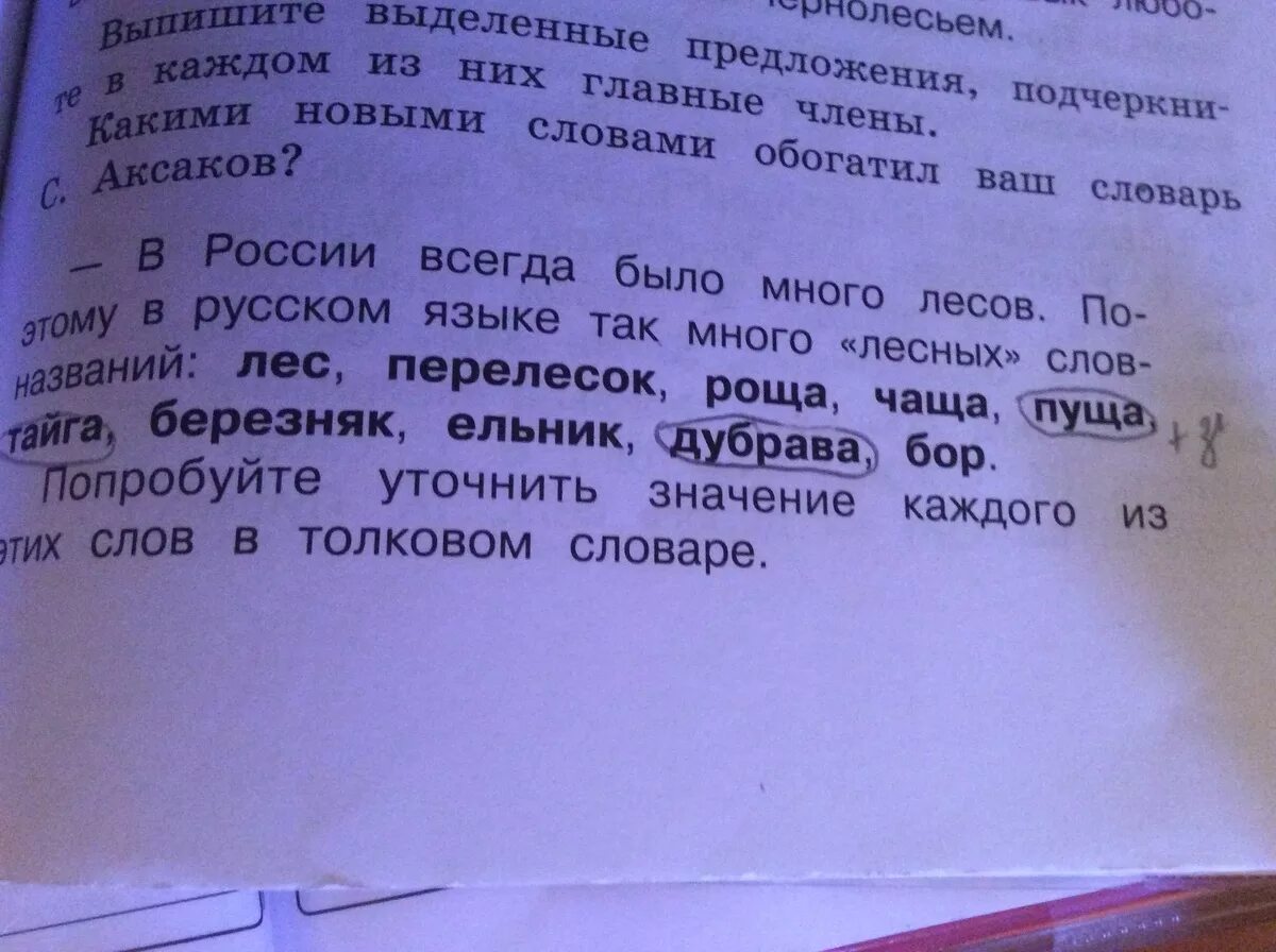 Тайга проверочное слово. Значение слова пуща. Как проверить слово Тайга. Толковый словарь русского языка слово пуще. Проверить слово дуб