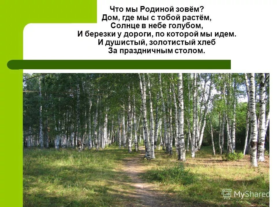 Две березки у дороги песня минус. Что мы родиной зовем. Что мы родиной зовем картинки. Родиной зовется. Степанов что мы родиной зовем.