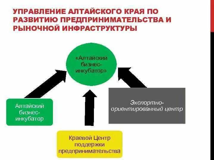 Управление Алтайского края по развитию предпринимательства. История развития предпринимательства в Алтайском крае. Рыночная инфраструктура Алтайского края. Сайт управления по предпринимательству Алтайского края. Управление предпринимательства алтайского края