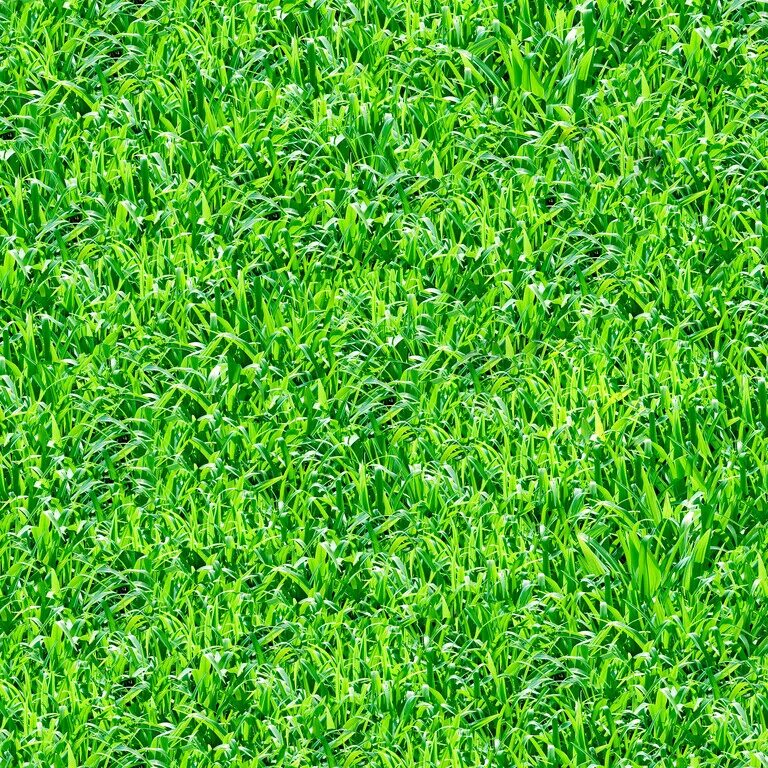 Grass check